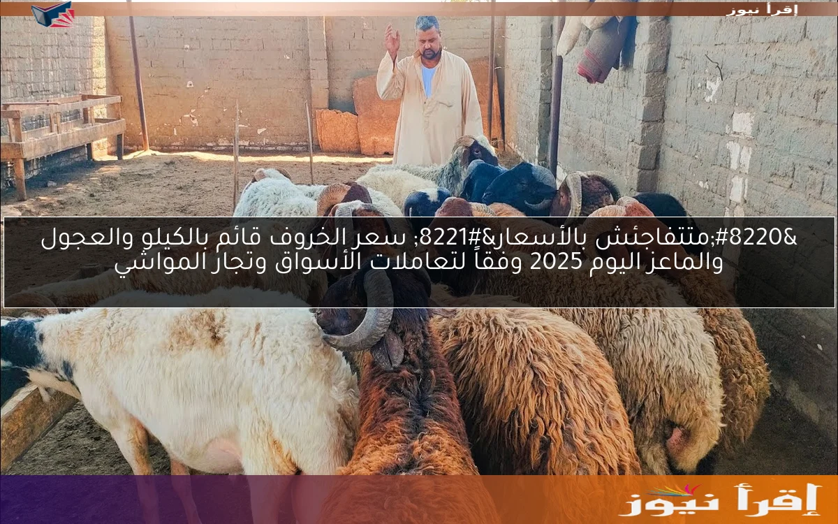 “متتفاجئش بالأسعار” سعر الخروف قائم بالكيلو والعجول والماعز اليوم 2025 وفقاً لتعاملات الأسواق وتجار المواشي