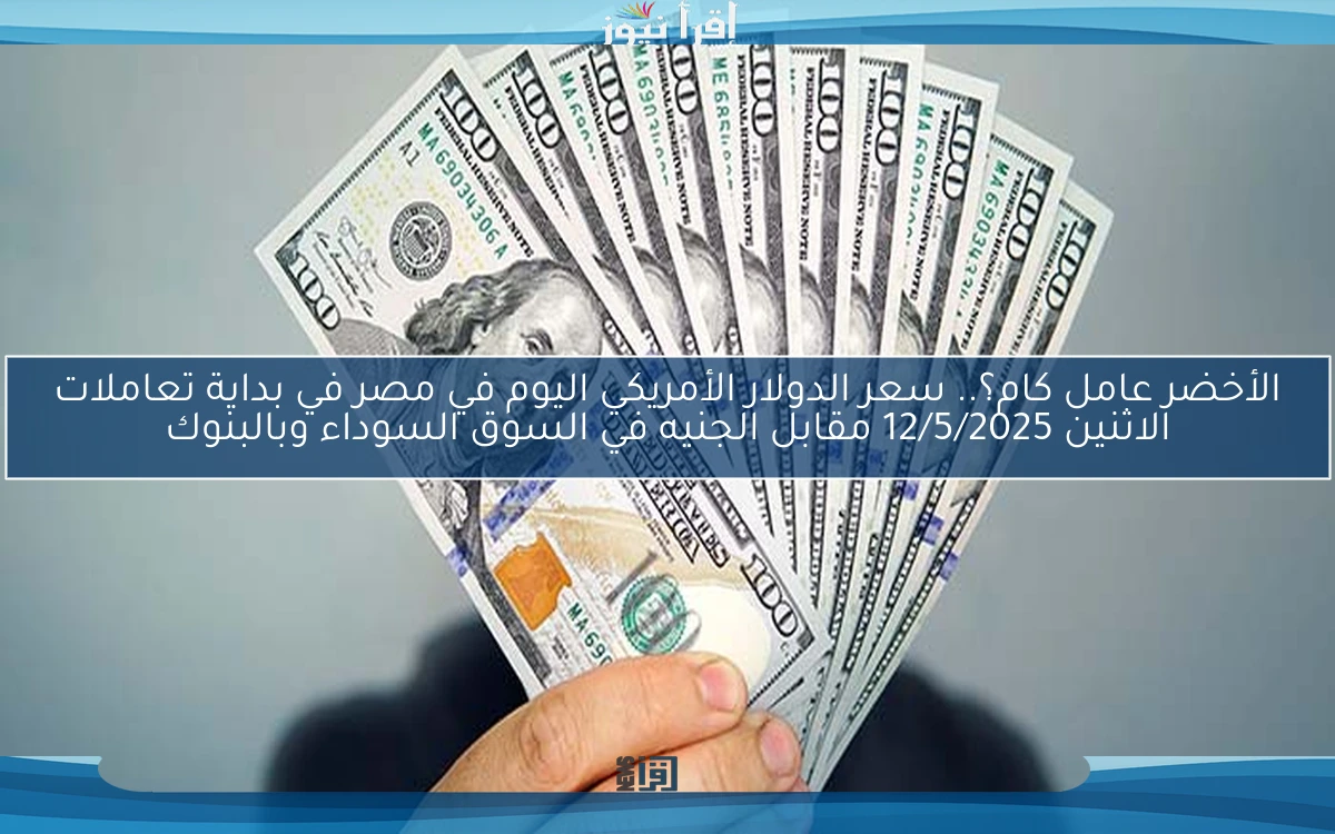 الأخضر عامل كام؟.. سعر الدولار الأمريكي اليوم في مصر في بداية تعاملات الاثنين 12/5/2025 مقابل الجنيه في السوق السوداء وبالبنوك