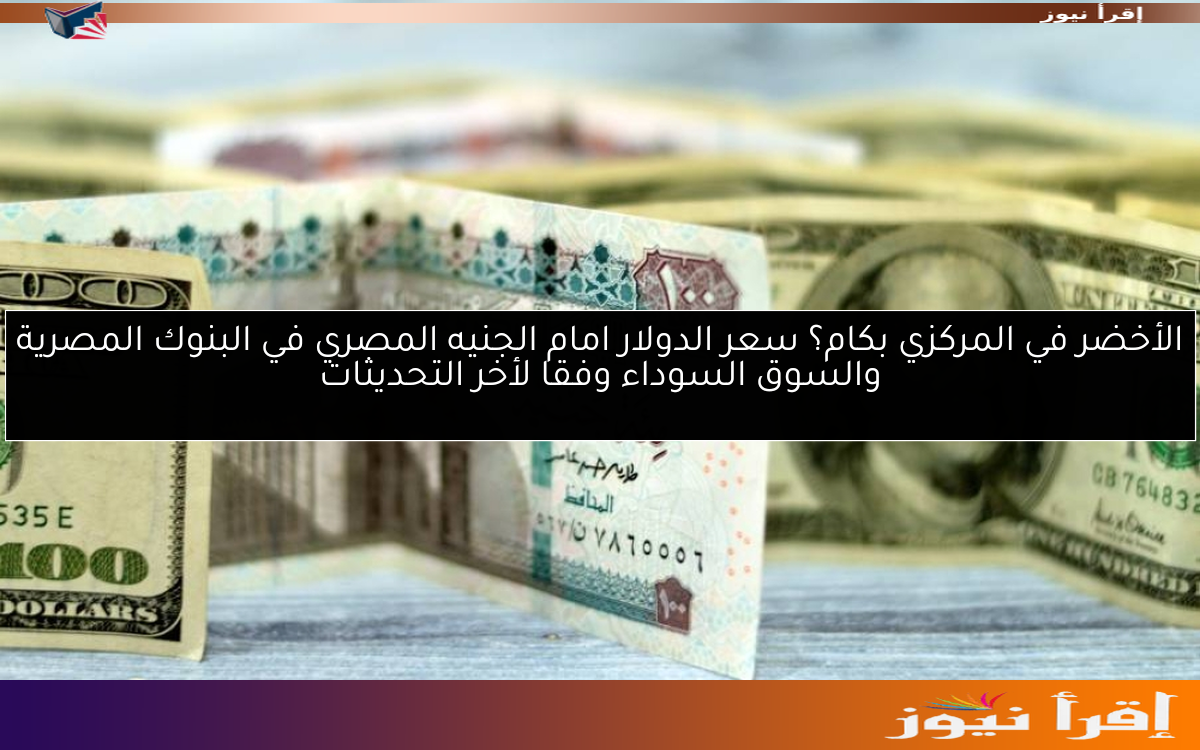 الأخضر في المركزي بكام؟ سعر الدولار امام الجنيه المصري في البنوك المصرية والسوق السوداء وفقا لأخر التحديثات