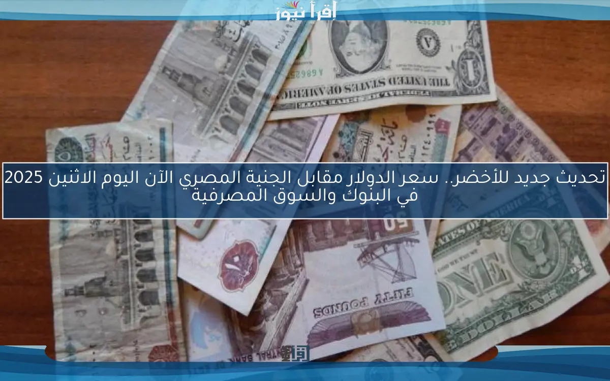 تحديث جديد للأخضر.. سعر الدولار مقابل الجنية المصري الآن اليوم الاثنين 2025 في البنوك والسوق المصرفية