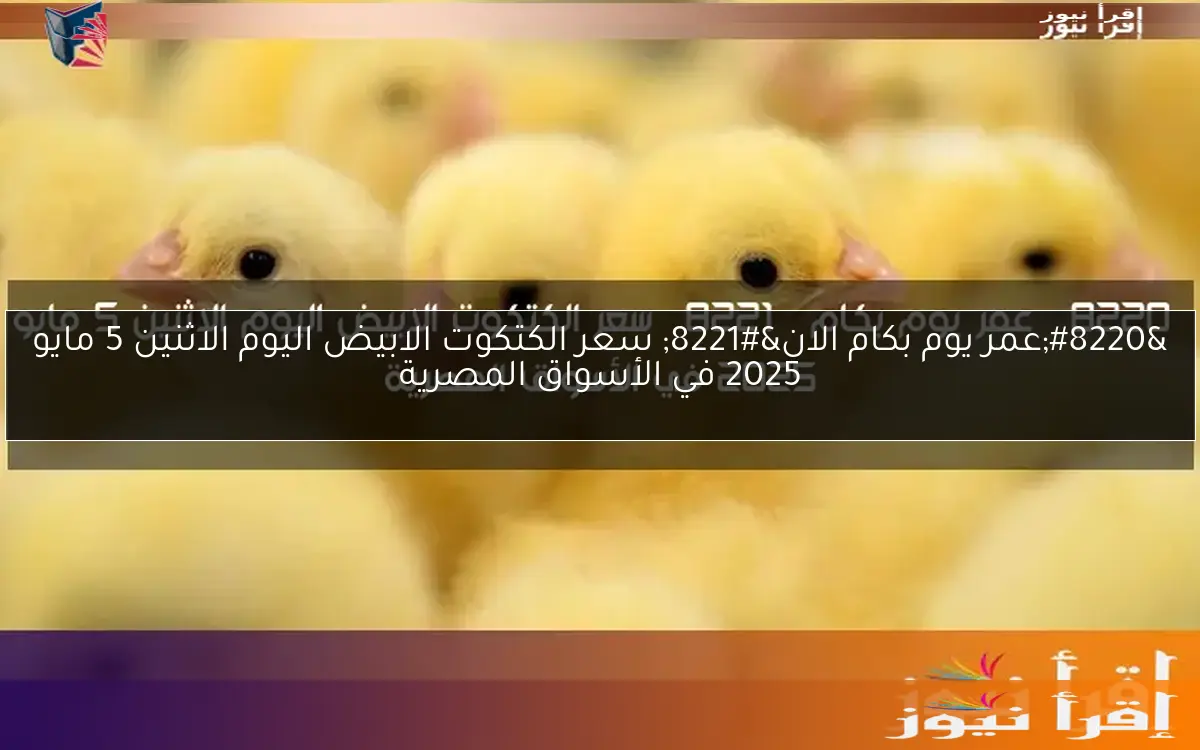 “عمر يوم بكام الان” سعر الكتكوت الابيض اليوم الاثنين 5 مايو 2025 في الأسواق المصرية