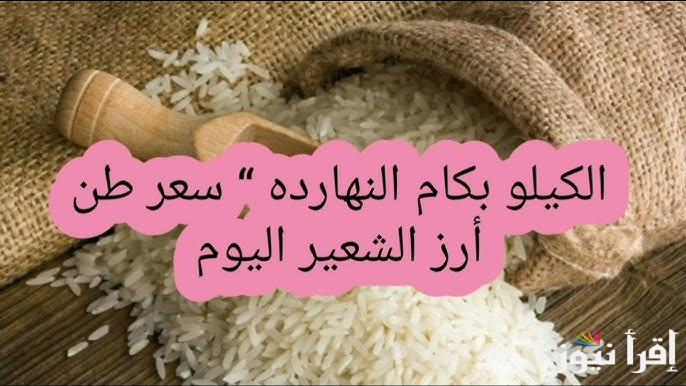 “الطن بقي بكام” سعر طن الأرز الشعير اليوم الخميس 1 مايو 2025 في الأسواق المصرية