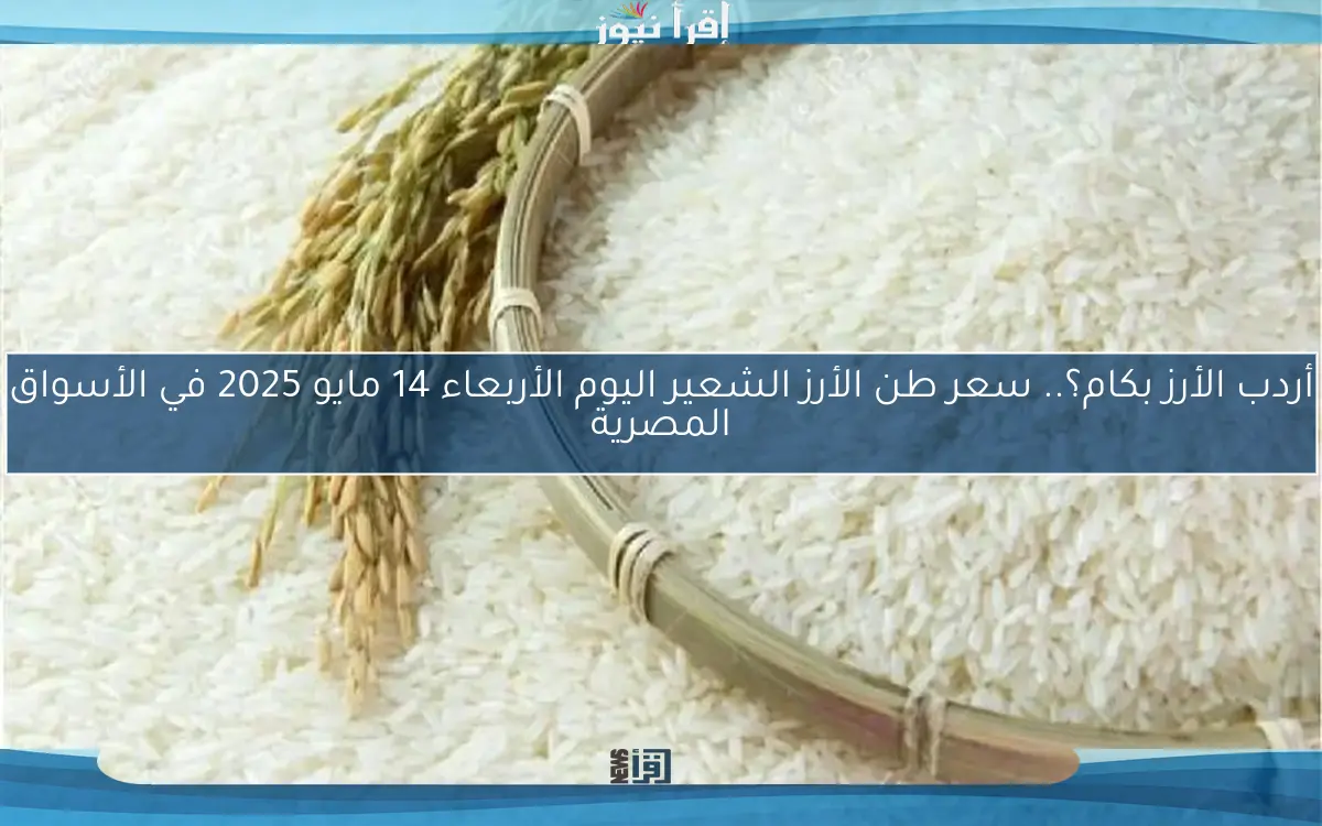 أردب الأرز بكام؟.. سعر طن الأرز الشعير اليوم الأربعاء 14 مايو 2025 في الأسواق المصرية