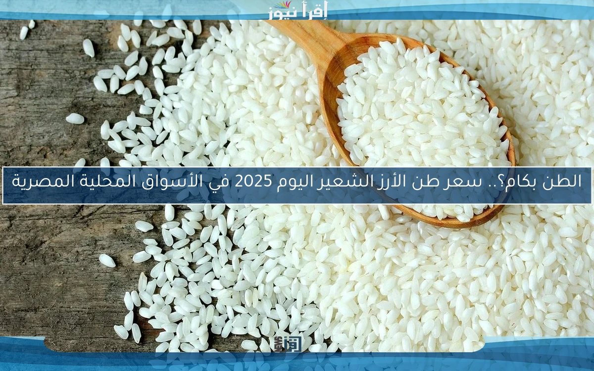 شيكارة الأرز بكام؟.. سعر طن الأرز الشعير اليوم 2025 في الأسواق المحلية المصرية