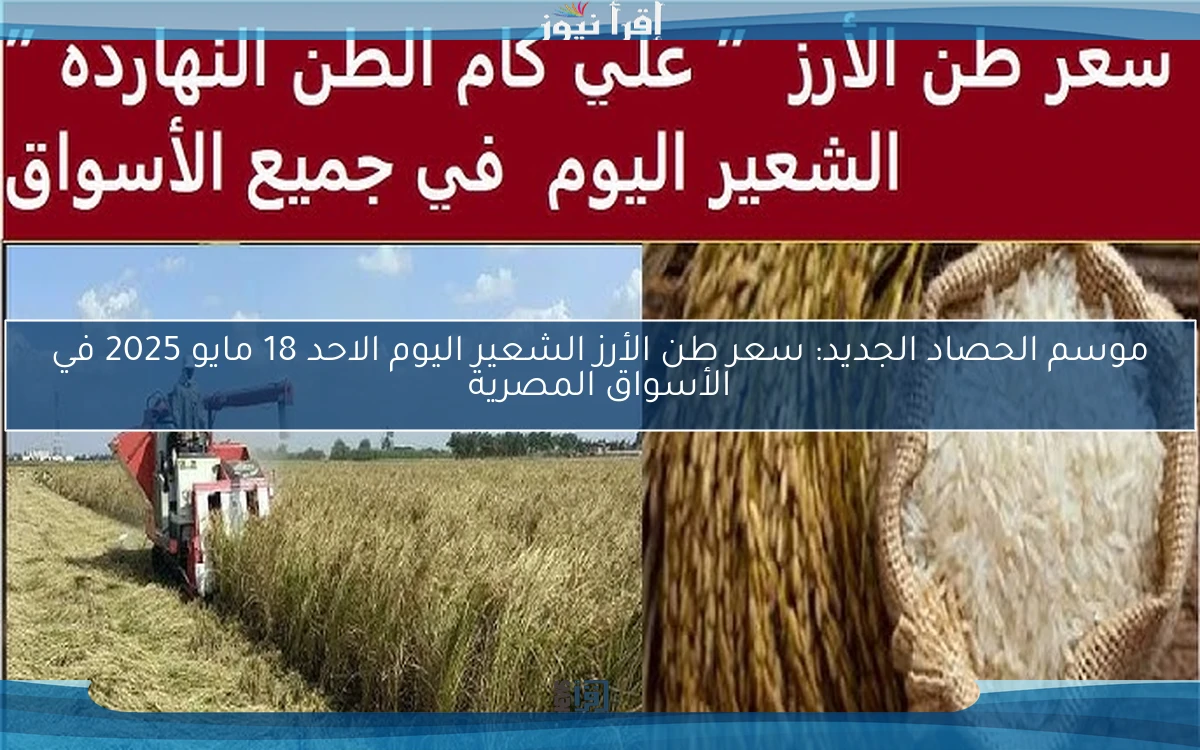 موسم الحصاد الجديد: سعر طن الأرز الشعير اليوم الاحد 18 مايو 2025 في الأسواق المصرية