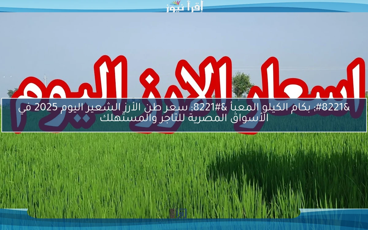 ” rice بكام الكيلو المعبأ ” سعر طن الأرز الشعير اليوم 2025 في الأسواق المصرية للتاجر والمستهلك