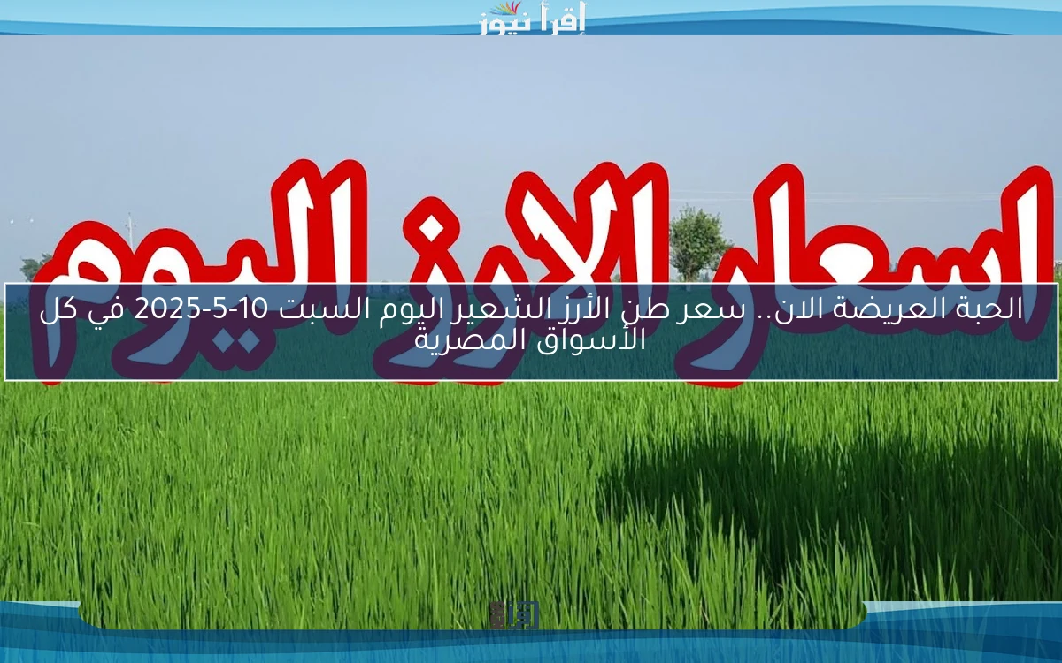 الحبة العريضة الان.. سعر طن الأرز الشعير اليوم السبت 10-5-2025 في كل الأسواق المصرية