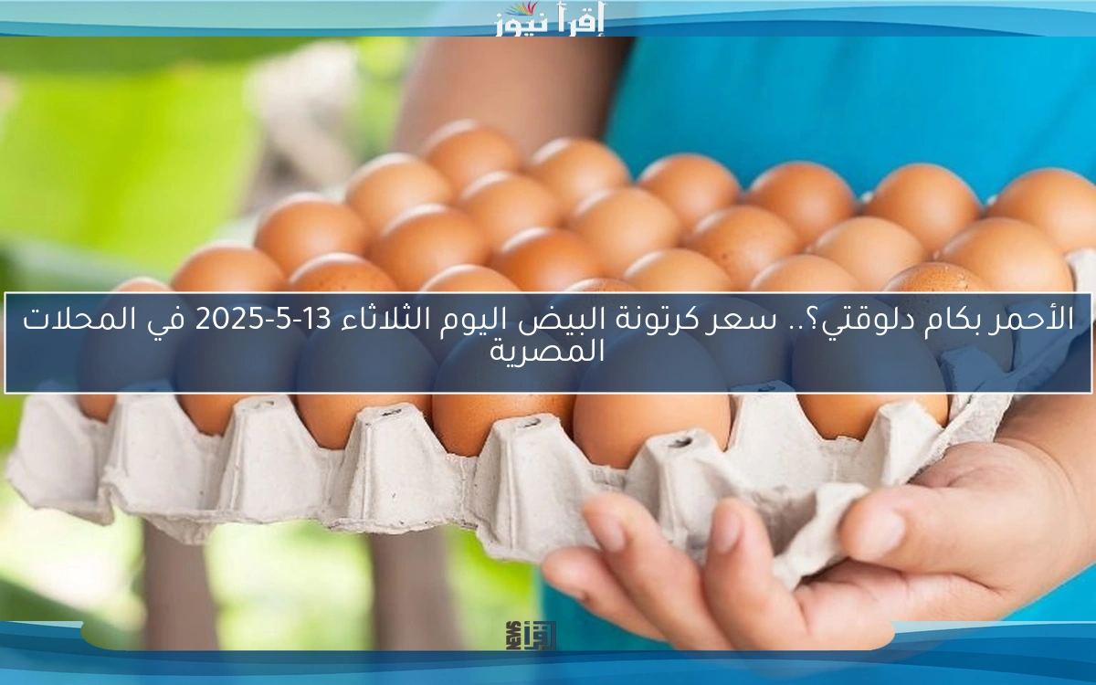 الأحمر بكام دلوقتي؟.. سعر كرتونة البيض اليوم الثلاثاء 13-5-2025 في المحلات المصرية