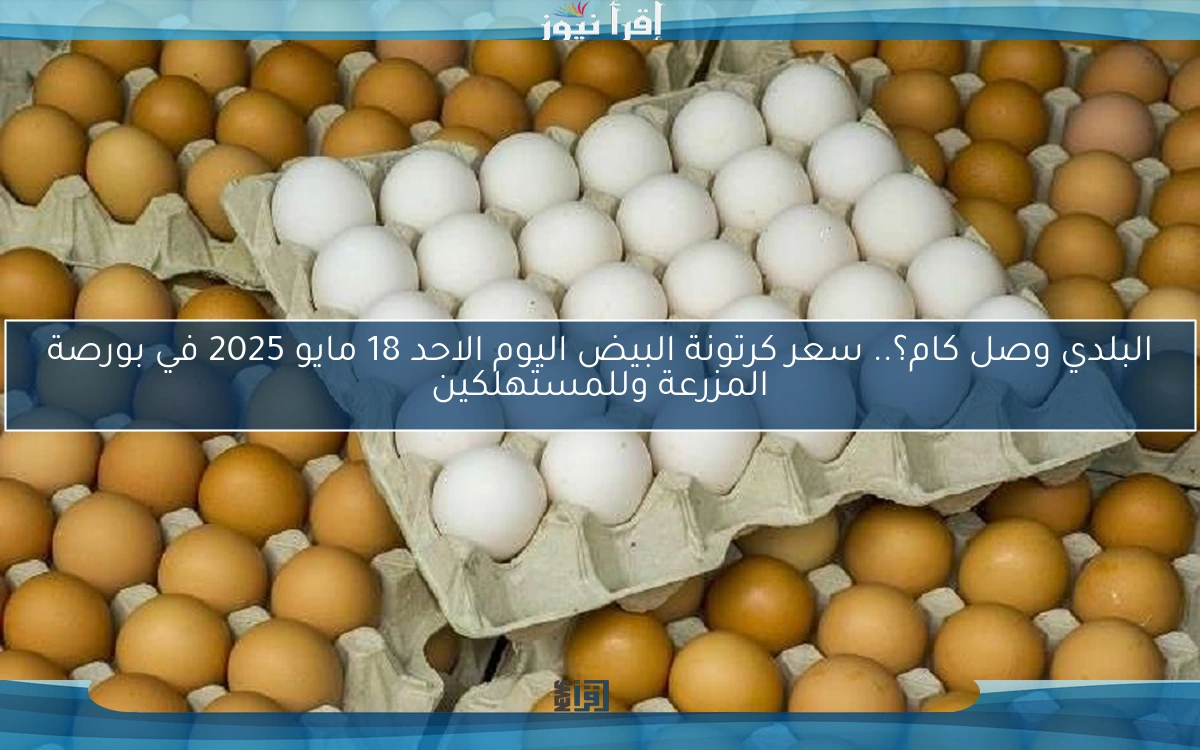 البلدي وصل كام؟.. سعر كرتونة البيض اليوم الاحد 18 مايو 2025 في بورصة المزرعة وللمستهلكين