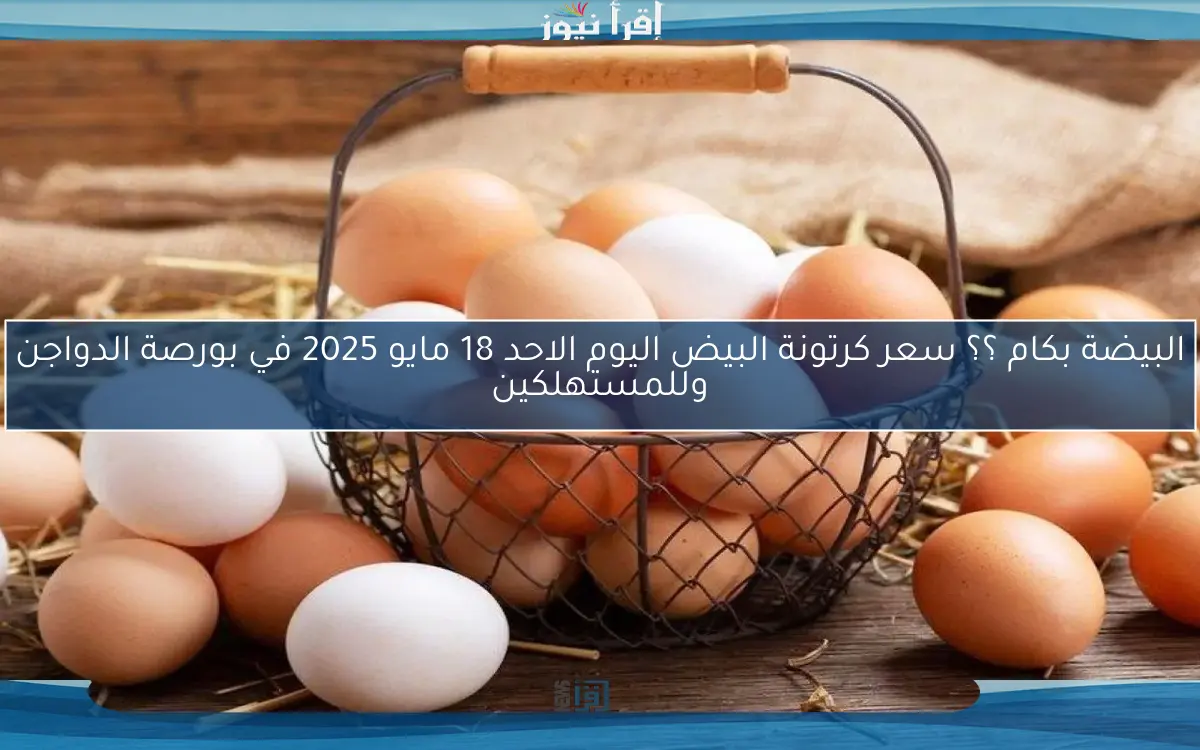 اسعار البيض البلدي؟.. سعر كرتونة البيض اليوم الاثنين 5 مايو 2025 في الجملة والقطاعي وأسعار الفراخ البيضاء اليوم