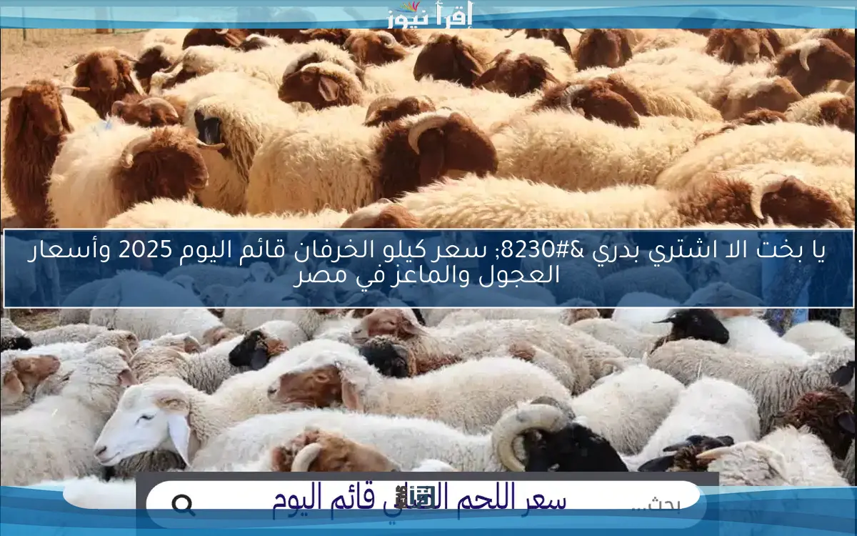 يا بخت الا اشتري بدري … سعر كيلو الخرفان قائم اليوم 2025 وأسعار العجول والماعز في مصر