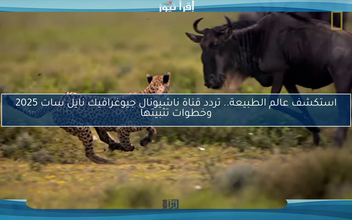 استكشف عالم الطبيعة.. تردد قناة ناشيونال جيوغرافيك نايل سات 2025 وخطوات تثبيتها