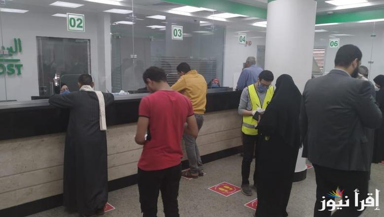 1500 جنية .. طريقة الاستعلام عن منحة العمالة غير المنتظمة 2025 عبر موقع وزارة العمل manpower.gov.eg
