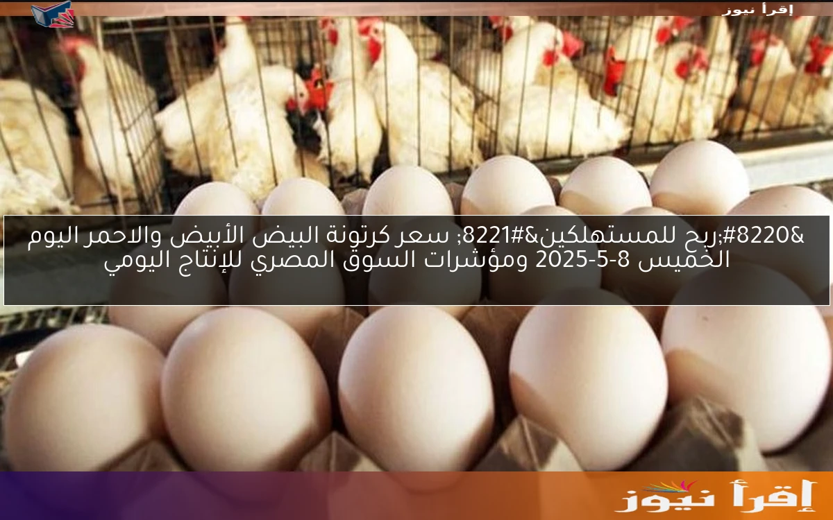 “ربح للمستهلكين” سعر كرتونة البيض الأبيض والاحمر اليوم الخميس 8-5-2025 ومؤشرات السوق المصري للإنتاج اليومي