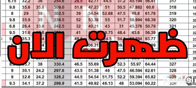 حالا هنـا ظهرت .. رسمياً نتيجة الشهادة السودانية 2025 بالاسم ورقم الجلوس من خلال موقع وزارة التربية والتعليم