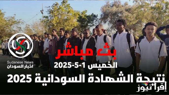 Link فعّال .. نتيجه الشهاده الثانويه السودانيه 2023 المؤجله بالاسم ورقم الجلوس عبر result.sudani.sd ونسب النجاح وأسماء الأوائل