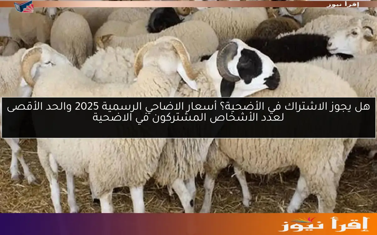 هل يجوز الاشتراك في الأضحية؟ أسعار الاضاحي الرسمية 2025 والحد الأقصى لعدد الأشخاص المشتركون في الاضحية